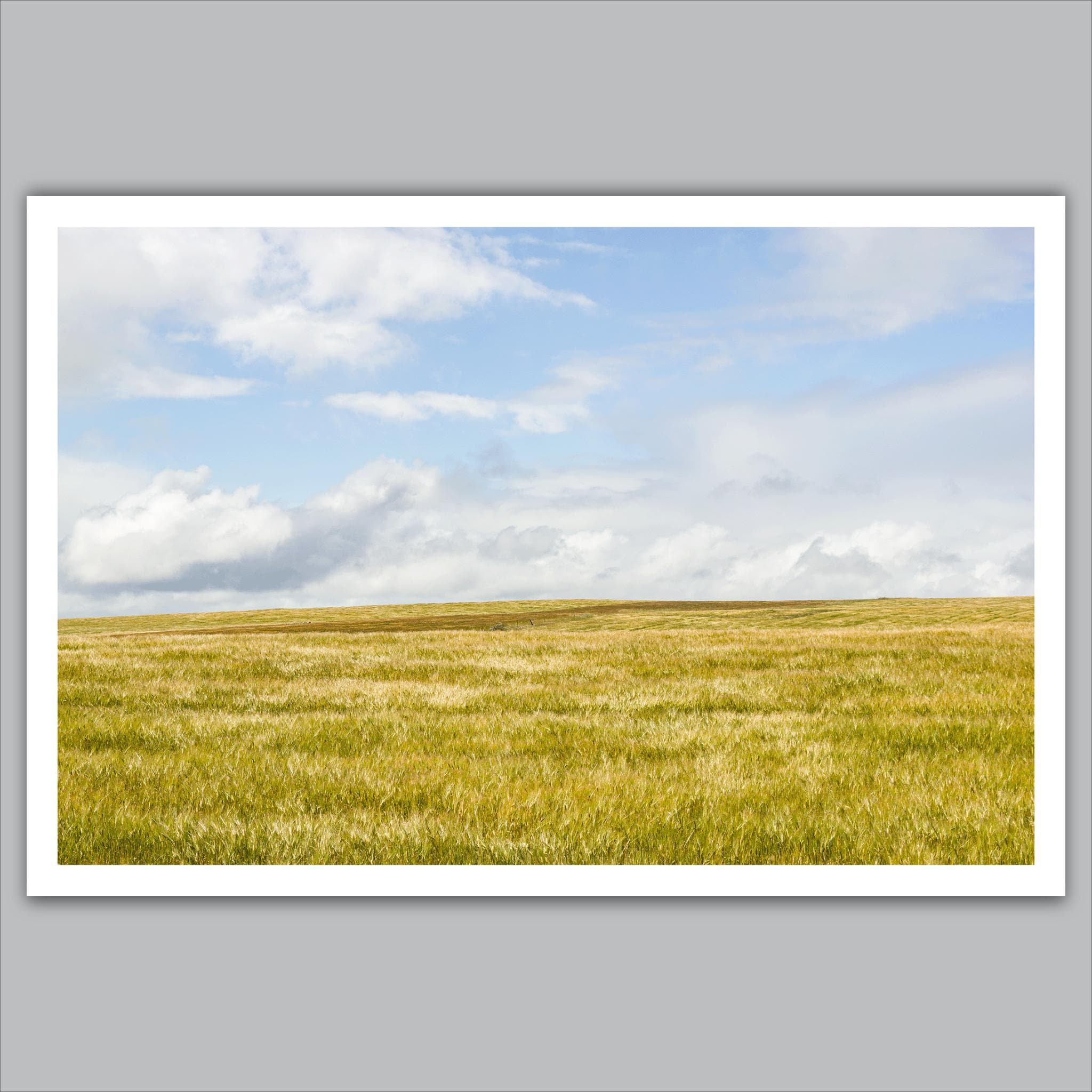 Andrew wyeth giclee - Etsy 日本