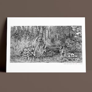 Bosbeeketsprint: botanische kunst Jacobus cornet, museumkwaliteit