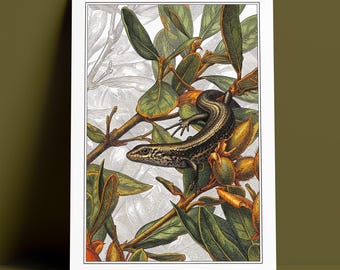 Skink In A Bush Australia, Archival Giclee Print, Lithograph Etching Style Photo Art