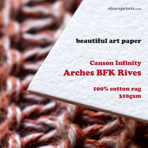 May include: Close-up of a white sheet of art paper with the text "beautiful art paper", "Canson Infinity", "Arches BFK Rives", "100% cotton rag", and "310gsm" printed in red.
