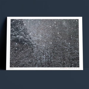 BEN OHARA - Gujo Snow - Japan - Blizzard, Winter, Forest - Landscape Photography - High Res 600dpi Giclée Print - BFK Rives Cotton Rag