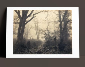 Fontainebleau Forest Print | Eugène Cuvelier, Archival Museum Quality Landscape Photography