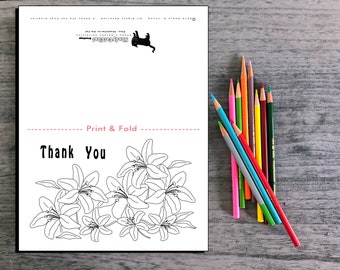 4 Printable Cards for You to Color or Gift for Person Who Enjoys Coloring. Lily Flowers from Garden Collection.  Digital Card, Print & Color