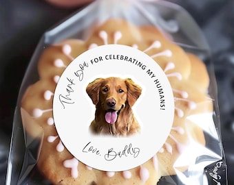 Custom Dog Wedding Favor Stickers, Dog of Honor Personalized Pet Photo Wedding Favor Label, Dog Treat Bag Thank You For Celebrating Stickers