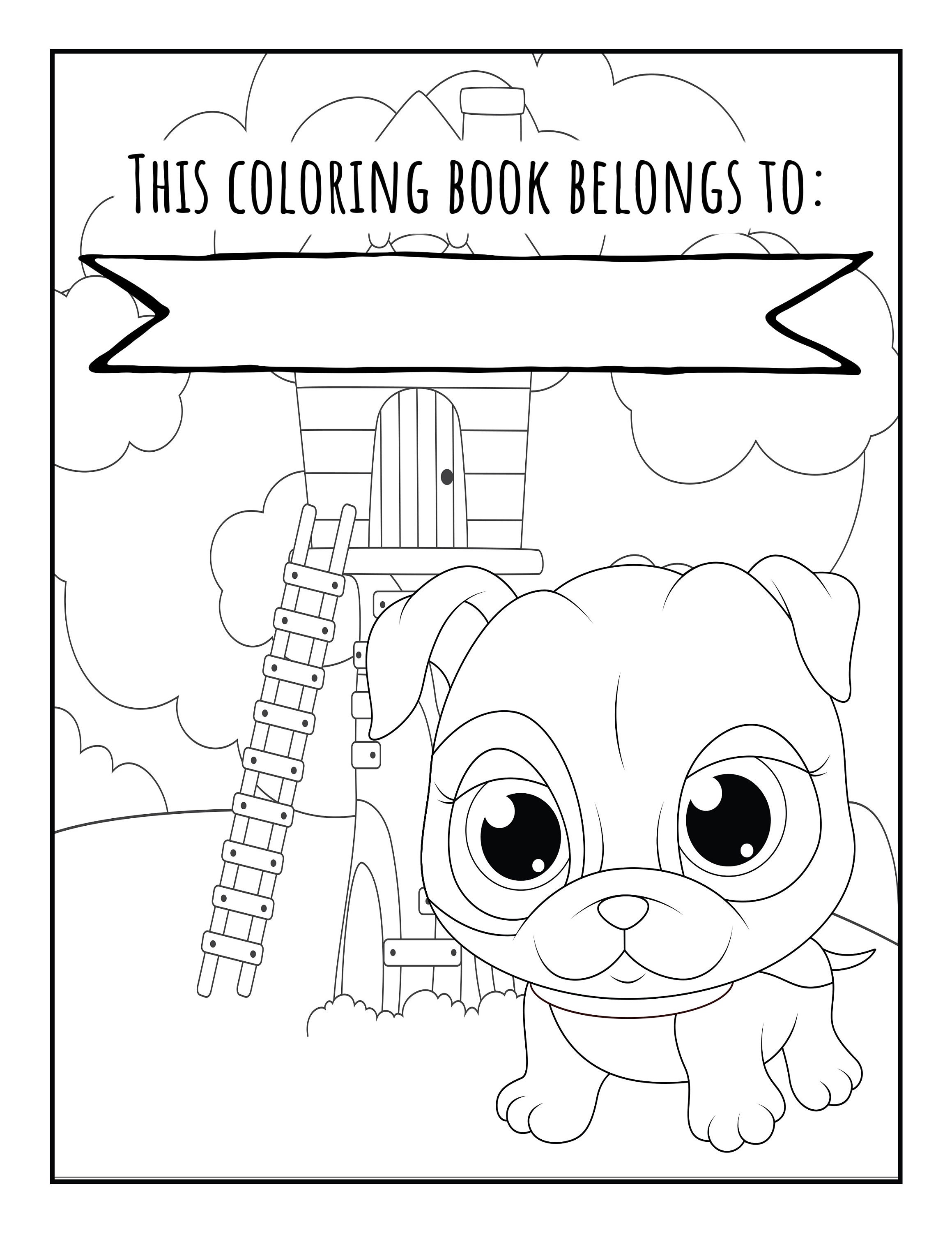 Animal Coloring book and sheets | Etsy
