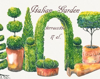 Tree clipart, topiary clipart, garden clipart, trees clipart, watercolor tree, italian clipart, Hand Painted, clip art, digital watercolor