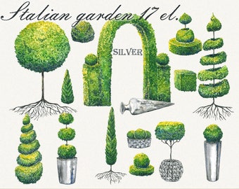 Tree clipart, italian clipart, garden clipart, Topiary clipart, Hand Painted, clip art, digital watercolor