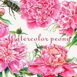 Peony clipart, Peonies flower clipart, floral elements, Watercolor, Botanical, Watercolor floral, Hand painted, Wedding invitation image 1