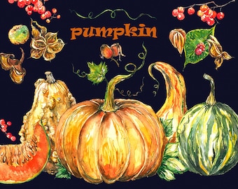 Pumpkin clipart, pumpkins clipart, watercolor pumpkin, autumn clipart, halloween clipart, Hand Painted, clip art, digital watercolor