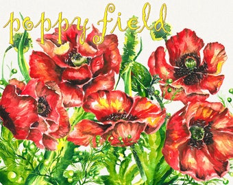 Poppy clipart, Poppy flower clipart, floral elements, Watercolor, Botanical, Watercolor floral, Hand painted, Wedding invitation