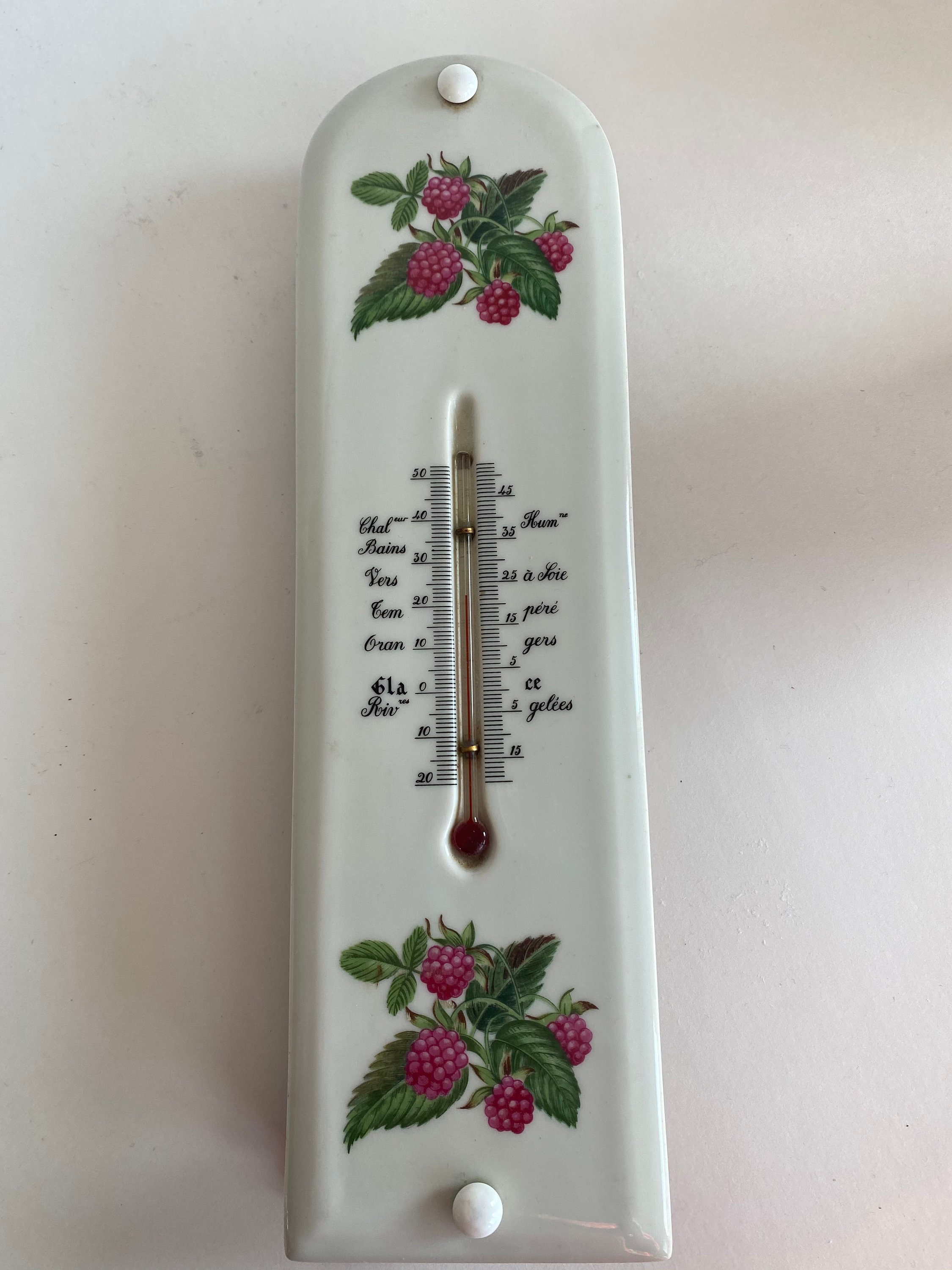 Vintage French Wine Thermometer with brass/metal top/handle / Fleur de lis