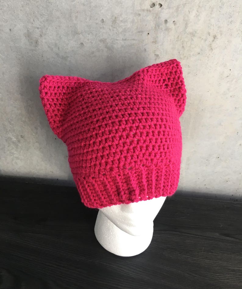 Pink Pussycat Hat image 1