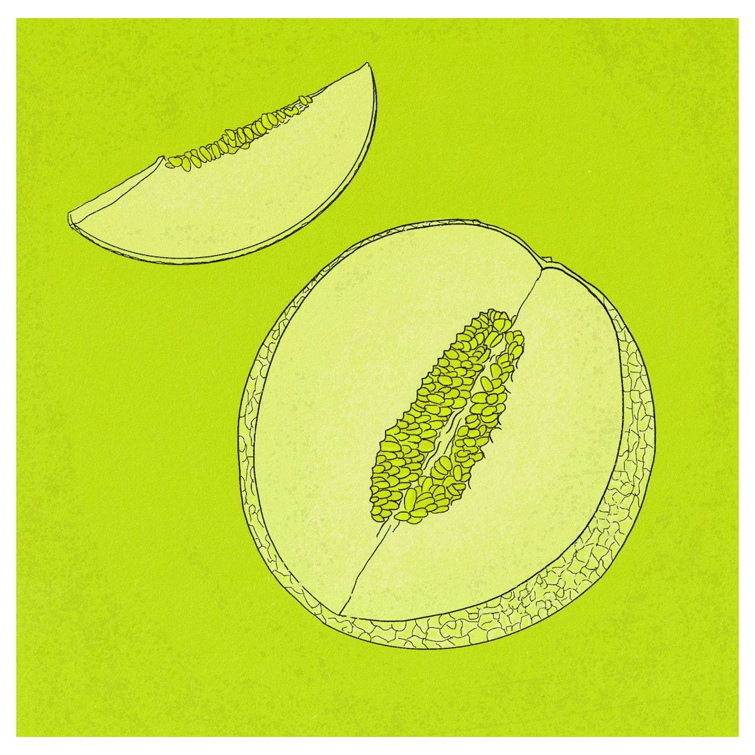 Melon Art Print Etsy