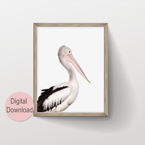 Coastal Pelican Wall Art, Large Modern Minimalist Coastal Decor, Birds Photography Art Prints, Printable Wall Art, Animal Photo Nursery Art image 1