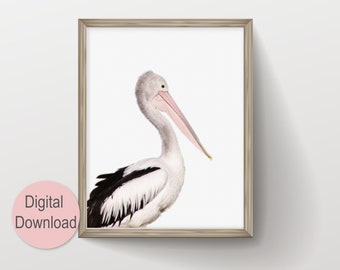 Coastal Pelican Wall Art, Large Modern Minimalist Coastal Decor, Birds Photography Art Prints, Printable Wall Art, Animal Photo Nursery Art