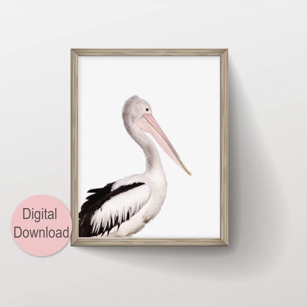 Coastal Pelican Wall Art, Large Modern Minimalist Coastal Decor, Birds Photography Art Prints, Printable Wall Art, Animal Photo Nursery Art