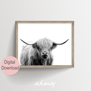 Highland Cow Photography Print, Cow Art Prints, Cow Portrait Photos, Cow Poster, Cattle Farm Animal, Black White Large Printable Wall Art