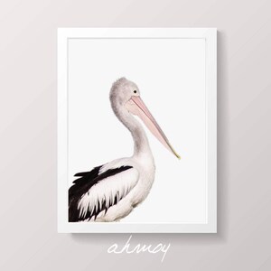 Coastal Pelican Wall Art, Large Modern Minimalist Coastal Decor, Birds Photography Art Prints, Printable Wall Art, Animal Photo Nursery Art image 4