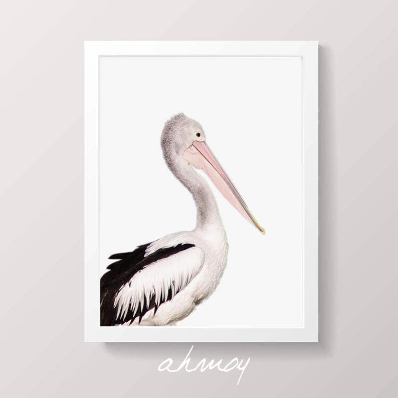 Coastal Pelican Wall Art, Large Modern Minimalist Coastal Decor, Birds Photography Art Prints