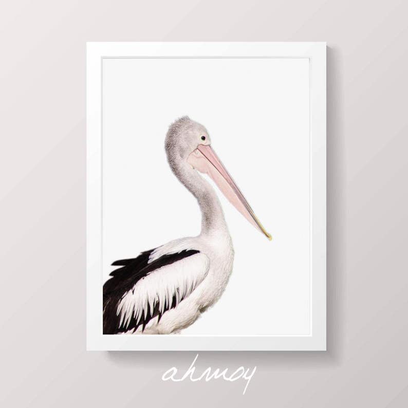 Coastal Pelican Wall Art, Large Modern Minimalist Coastal Decor, Birds Photography Art Prints, Printable Wall Art, Animal Photo Nursery Art image 4