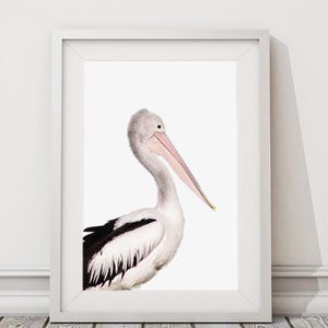 Coastal Pelican Wall Art, Large Modern Minimalist Coastal Decor, Birds Photography Art Prints, Printable Wall Art, Animal Photo Nursery Art image 2