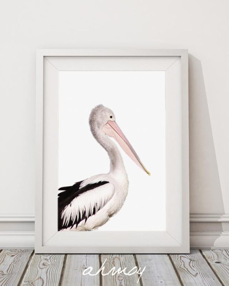 Coastal Pelican Wall Art, Large Modern Minimalist Coastal Decor, Birds Photography Art Prints, Printable Wall Art, Animal Photo Nursery Art image 2