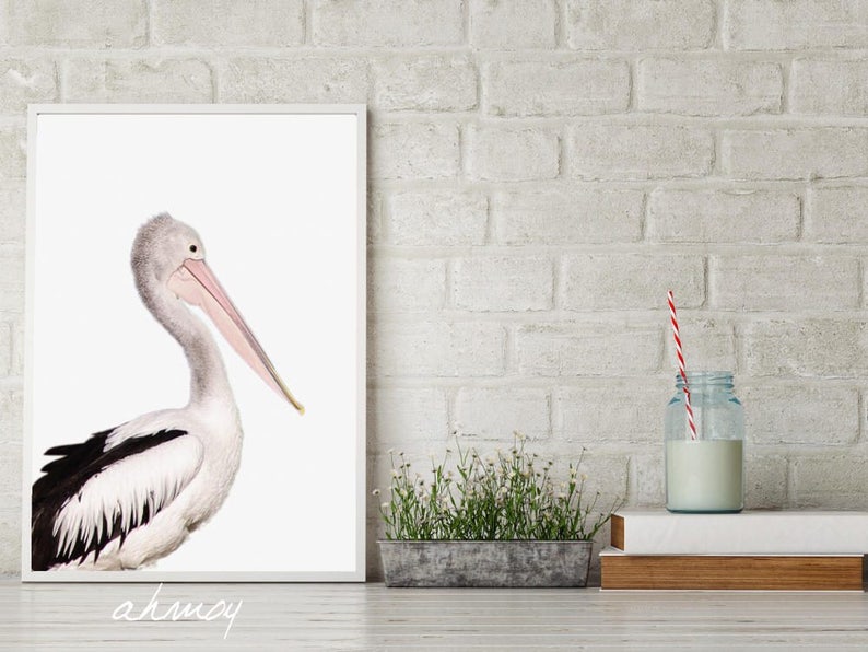 Coastal Pelican Wall Art, Large Modern Minimalist Coastal Decor, Birds Photography Art Prints