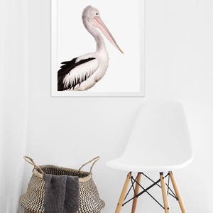 Coastal Pelican Wall Art, Large Modern Minimalist Coastal Decor, Birds Photography Art Prints, Printable Wall Art, Animal Photo Nursery Art image 5