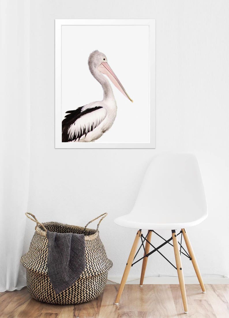 Coastal Pelican Wall Art, Large Modern Minimalist Coastal Decor, Birds Photography Art Prints, Printable Wall Art, Animal Photo Nursery Art image 5