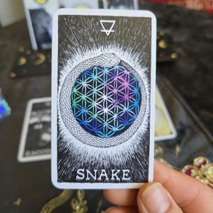 Pocket Animal Spirit Oracle Deck