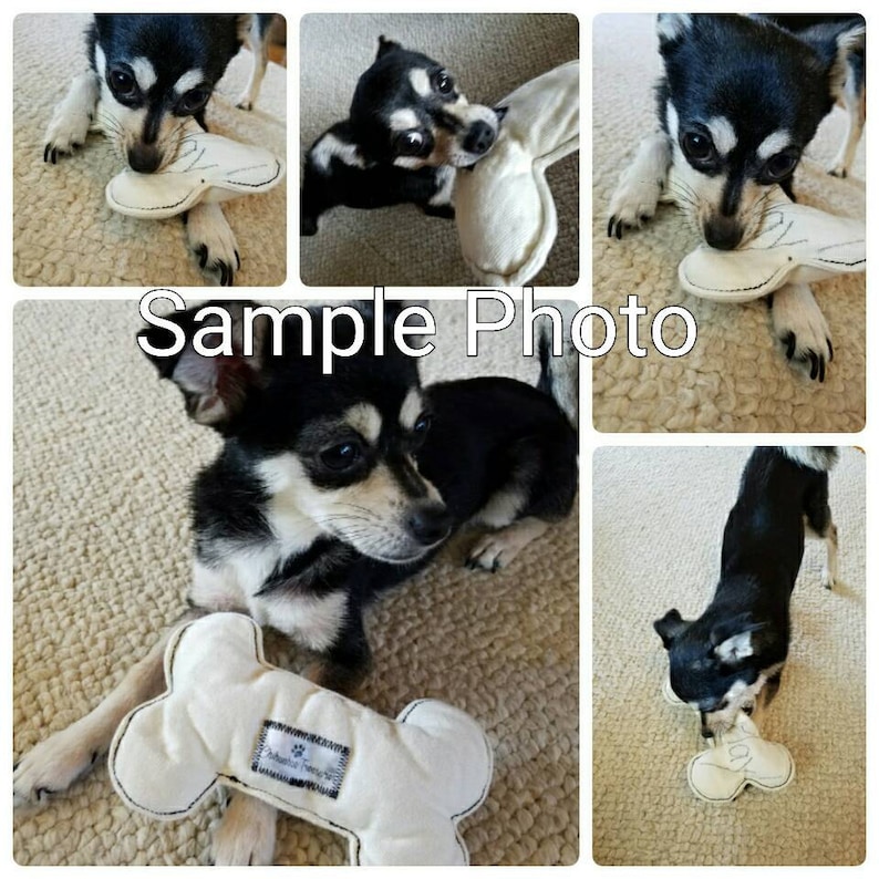 Dog ToyChihuahua ToySmall Dog ToyTiny Pet ToyFabric ToysSqueak-less Dog ToyQuality Made Pet ToyPet GiftFleece Dog ToyHeart Toy