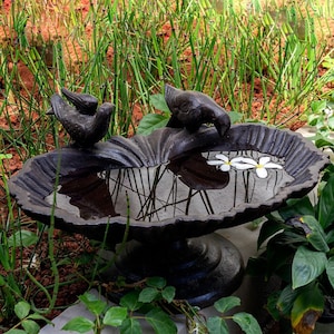 Puede incluir: Un bebedero para pájaros de hierro fundido negro con dos esculturas de pájaros posadas en el borde. El bebedero está lleno de agua y dos flores blancas flotan en la superficie.