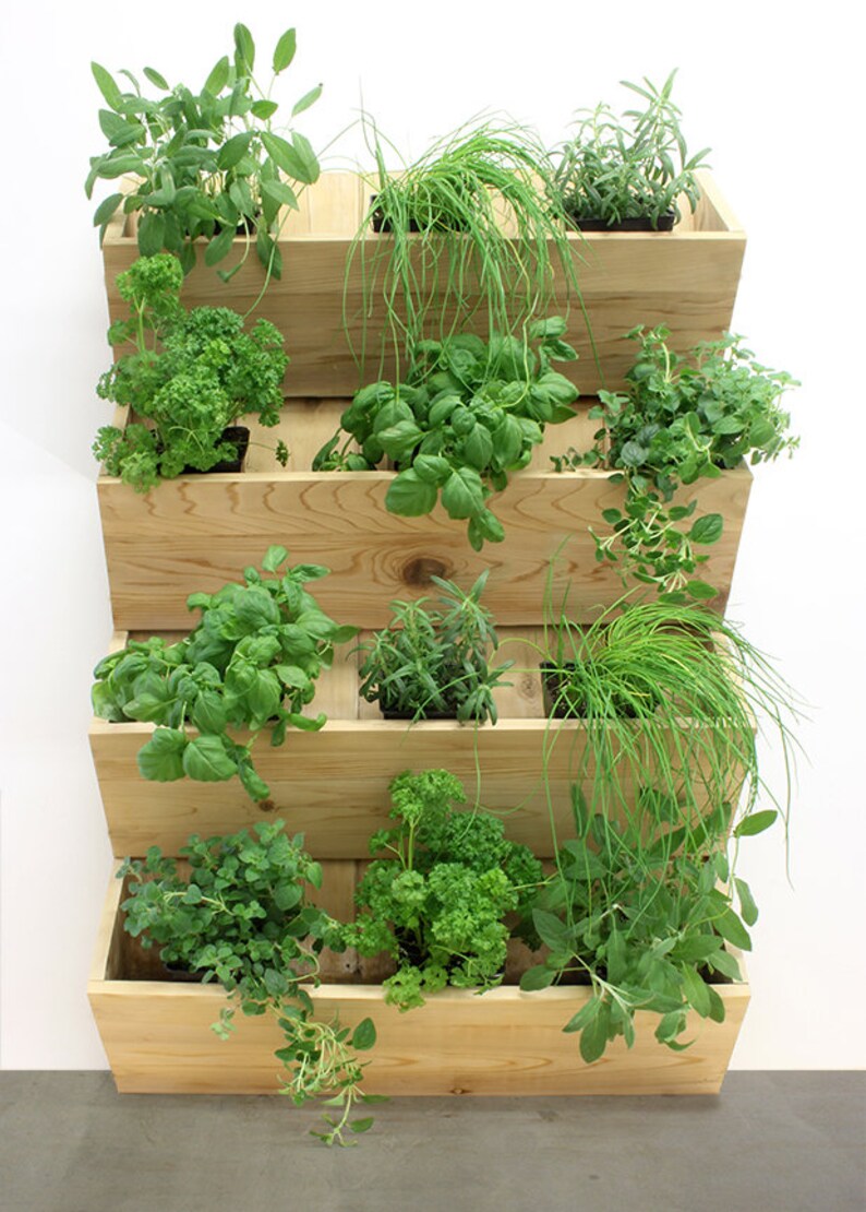 The Four Folds Vertical Garden Wall Herbs Cedar