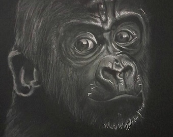 Monkey Face