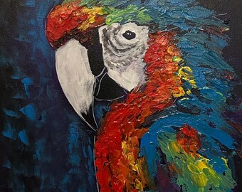 Macaw Bath