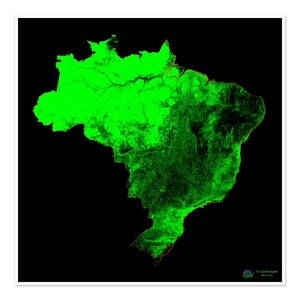 Brasilien - Waldbedeckungskarte - Fine Art Print