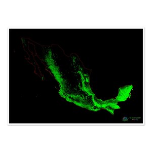 Mexiko - Landkarte des Waldes - Fine Art Print