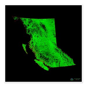 British Columbia - Waldbedeckungskarte - Fine Art Print