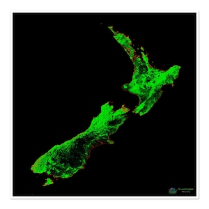 Neuseeland - Waldlandschaftskarte - Fine Art Print
