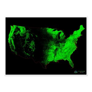 Die USA - Waldbedeckungskarte - Fine Art Print