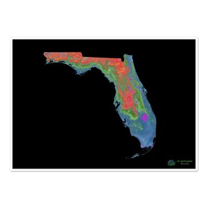 Florida - Mappa altimetrica, nera - Stampa Fine Art