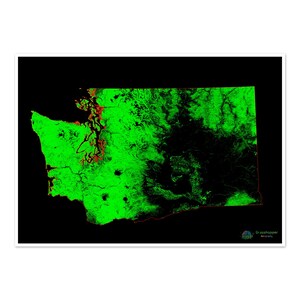 Washington - Waldlandschaft Karte - Fine Art Print