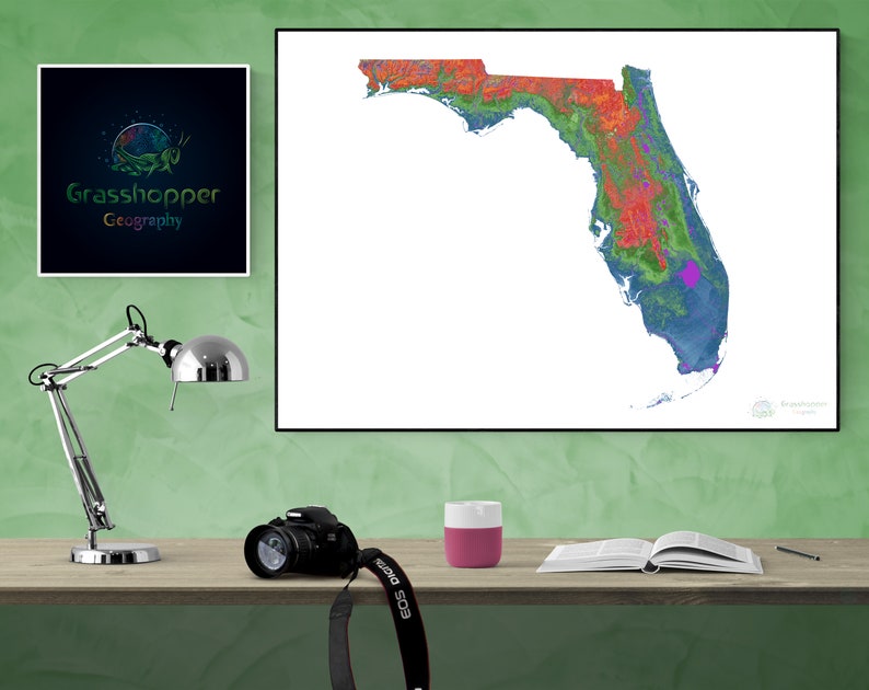 Elevation Map of Florida high Resolution Digital Print Map - Etsy