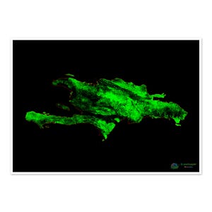 Hispaniola - Waldbedeckungskarte - Fine Art Print