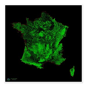 Frankreich - Waldbedeckungskarte - Fine Art Print