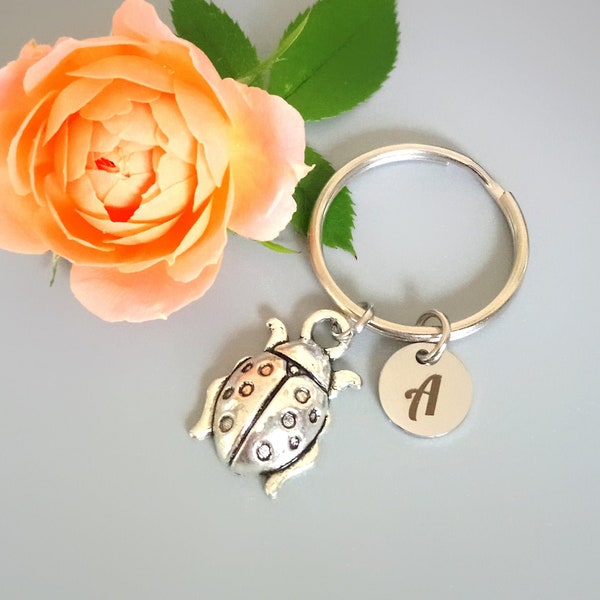 Ladybug Key ring, best friend gifts for her, Ladybird jewelry, Lady bug charm (K1)