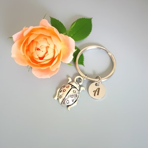 Ladybug Key ring, best friend gifts for her, Ladybird jewelry, Lady bug charm (K1)