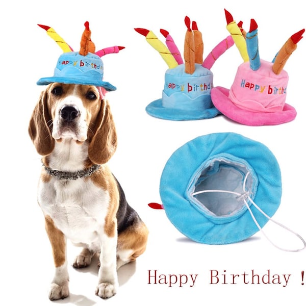Dog Birthday Hat Etsy