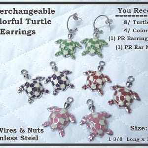May include: Interchangeable colorful turtle earrings. The earrings are stainless steel and come in four colors. Each turtle charm is 1 3/8 inches long and 1 inch wide. The image shows the earrings with ear wires and nuts.