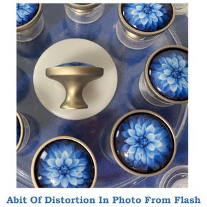 May include: A collection of cabinet knobs and a single drawer pull. The knobs feature a blue floral design under a glass dome, set in a silver-toned metal. The drawer pull is a mushroom-shaped design with a blue floral top. The text at the bottom says "Abit Of Distortion In Photo From Flash".